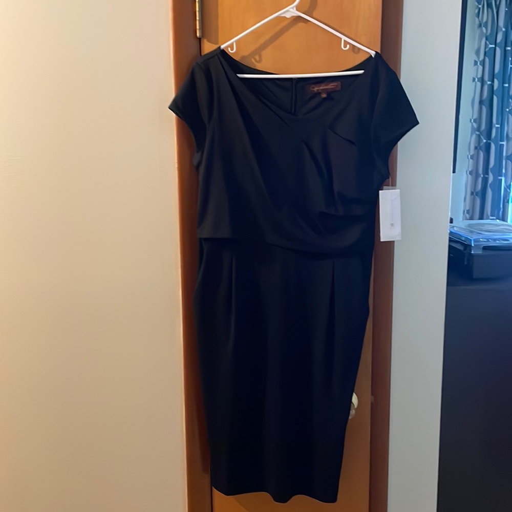 NWT, Classy, LBD with pockets!  Flattering bust and shoulder coverage. Size L